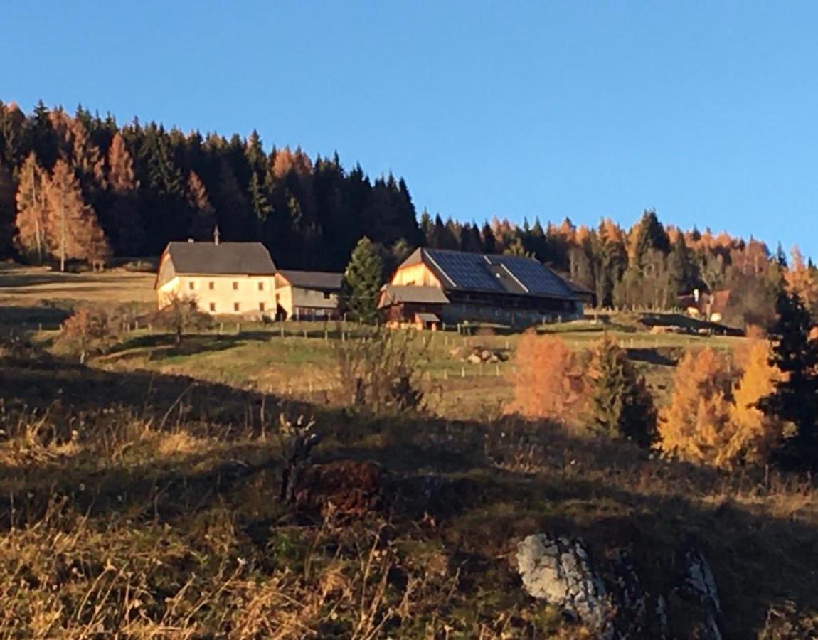 الشقق الفندقية Oberwoelz Stadtفي  Zum Wohle المظهر الخارجي الصورة